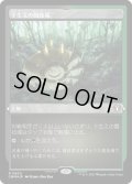 【JPN/CMM-BF/FOIL★】下生えの競技場/Undergrowth Stadium【エッチング】