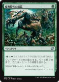 【JPN/MM2】変異原性の成長/Mutagenic Growth