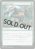 【JPN/MM2】変異原性の成長/Mutagenic Growth