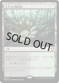【JPN/CMM/FOIL★】下生えの競技場/Undergrowth Stadium
