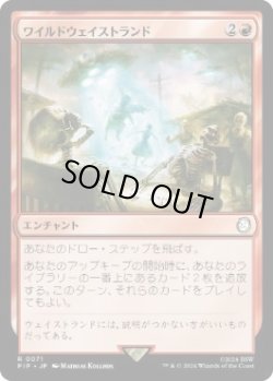 画像1: 【JPN/PIP】ワイルドウェイストランド/Wild Wasteland