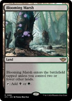 画像1: 【ENG/OTJ】花盛りの湿地/Blooming Marsh [土地] 『R』