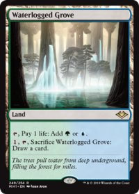 【ENG/MH1】冠水樹林帯/Waterlogged Grove 『R』 [土地]　