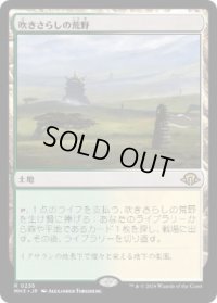【JPN/MH3】吹きさらしの荒野/Windswept Heath