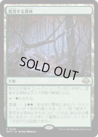 【JPN/MH3】変容する森林/Shifting Woodland