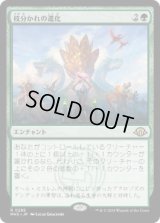 【JPN/MH3】枝分かれの進化/Branching Evolution