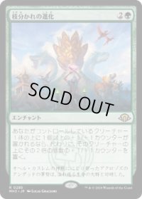 【JPN/MH3】枝分かれの進化/Branching Evolution