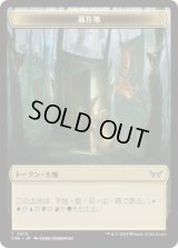 【JPN/DSK】遍在地トークン/Everywhere Token
