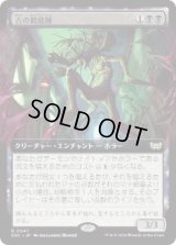 【JPN/DSC】古の館底種/Ancient Cellarspawn【拡張アート】