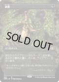 【JPN/DMR-BF】納墓/Entomb【ボーダーレス】  