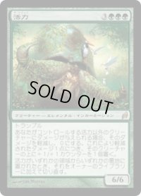 【JPN/LRW】活力/Vigor