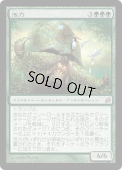 画像1: 【JPN/LRW】活力/Vigor