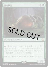 【JPN/FDN】漁る軟泥/Scavenging Ooze  [緑] 『R』