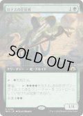 【JPN/MH3-BF】ロナスの狂信者/Fanatic of Rhonas【拡張アート】