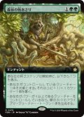 【JPN/FDN-BF/FOIL★】森林の物あさり/Sylvan Scavenging  [緑] 『R』【拡張アート】