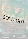 【JPN/FDN-BF/FOIL★】苔生まれのハイドラ/Mossborn Hydra  [緑] 『R』【ボーダーレス】