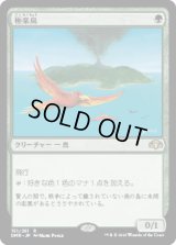 【JPN/DMR】極楽鳥/Birds of Paradise