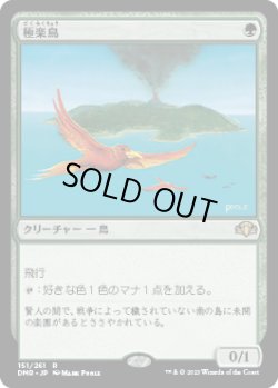 画像1: 【JPN/DMR】極楽鳥/Birds of Paradise