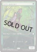 【JPN/DOM-P/FOIL★】ラノワールのエルフ/Llanowar Elves【Open House】
