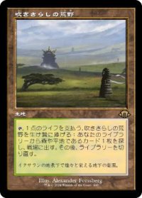 【JPN/MH3-BF】吹きさらしの荒野/Windswept Heath【旧枠】