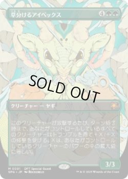 画像1: 【JPN/SPG】草分けるアイベックス/Pathbreaker Ibex [緑] 『M』