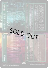 【JPN/DSK-BF】収納室+忘れられた地下室/Walk-In Closet+Forgotten Cellar  [緑] 『M』【ボーダーレス】