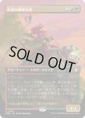 【JPN/FDN-BF】灰根の精霊信者/Ashroot Animist  [マルチ] 『R』【ボーダーレス】
