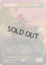 【JPN/FDN-BF】灰根の精霊信者/Ashroot Animist  [マルチ] 『R』【ボーダーレス】