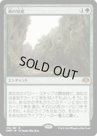 【JPN/DMR】森の知恵/Sylvan Library