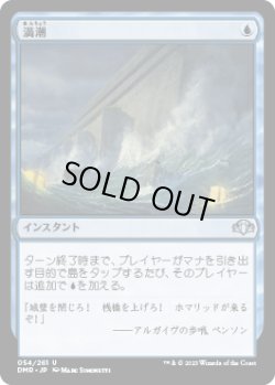 画像1: 【JPN/DMR】満潮/High Tide