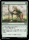 【JPN/DMR】輪作/Crop Rotation