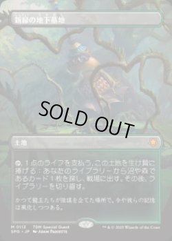 画像1: 【JPN/SPG】新緑の地下墓地/Verdant Catacombs [土地] 『M』