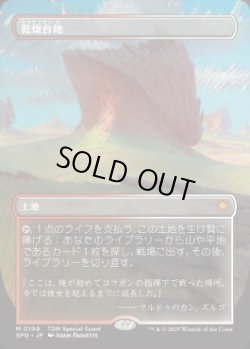 画像1: 【JPN/SPG】乾燥台地/Arid Mesa [土地] 『M』