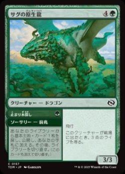 画像1: 【JPN/TDM】サグの原生龍/Sagu Wildling [緑] 『C』