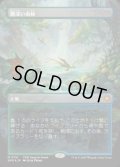 【JPN/SPG/ドラゴンスケイル・FOIL★】霧深い雨林/Misty Rainforest [土地] 『M』