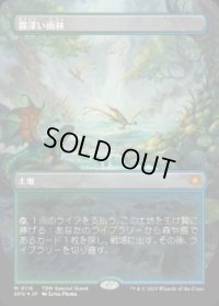 【JPN/SPG/ドラゴンスケイル・FOIL★】霧深い雨林/Misty Rainforest [土地] 『M』