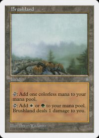 【ENG/ATH】低木林地/Brushland