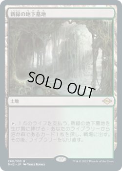 画像1: 【JPN/MH2/FOIL★】新緑の地下墓地/Verdant Catacombs