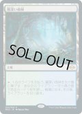 【JPN/MH2/FOIL★】霧深い雨林/Misty Rainforest