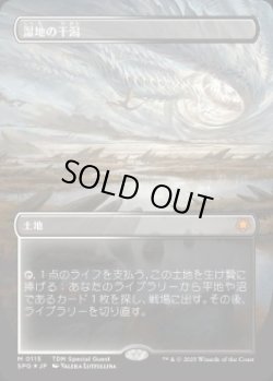 画像1: 【JPN/SPG/ドラゴンスケイル・FOIL★】湿地の干潟/Marsh Flats [土地] 『M』【ボーダーレス】