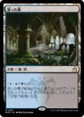 【JPN/RVR】湿った墓/Watery Grave