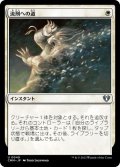 【JPN/CMM】流刑への道/Path to Exile