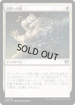 画像1: 【JPN/CMM】流刑への道/Path to Exile  