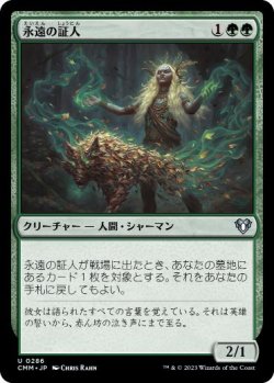 画像1: 【JPN/CMM】永遠の証人/Eternal Witness