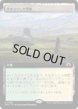 【JPN/MH3-BF】吹きさらしの荒野/Windswept Heath【拡張アート】
