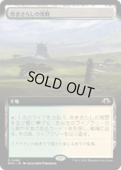 画像1: 【JPN/MH3-BF】吹きさらしの荒野/Windswept Heath【拡張アート】