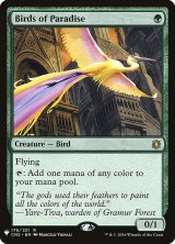【ENG/MB1】極楽鳥/Birds of Paradise