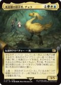 【JPN/FIN-BF】桃源郷の探求者、チョコ/Choco, Seeker of Paradise [マルチ] 『R』【拡張アート】