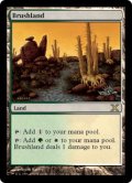 【JPN/10ED】低木林地/Brushland