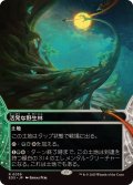 【JPN/EOS】活発な野生林/Stirring Wildwood